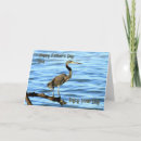 Search for bird fathers day cards Water