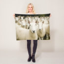 Search for sheep blankets Field