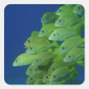 Search for florida wildlife stickers Animals