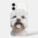 Recherche de frise de bichon iphone coques Chiot