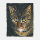 Search for tabby cat blankets Photography