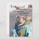 Search for adopt a pet cards Dogs