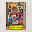 Search for trick or treat invitations Dogs