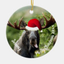 Search for funny moose ornaments Snow