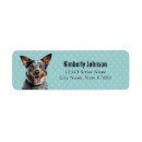 Search for australian cattle dog return address labels Puppy