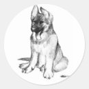 Search for shepards stickers Canine