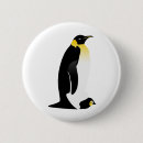 Search for young bird buttons Antarctica