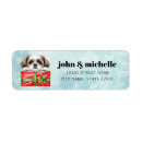 Search for shih tzus return address labels Blue