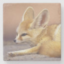 Recherche de petit renard dessous de verres Animal