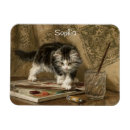 Recherche de de chaton magnets Pour enfants