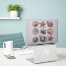 Search for scallop shell stickers Watercolor