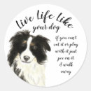 Search for dog quote stickers Humour