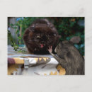 Recherche de je vous pardonne cartes postales Drôle