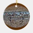 Search for geese ornaments Nature
