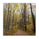 Search for fall tiles Landscape