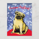 Recherche de carlin noël cartes postales Animal