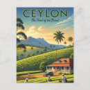 Search for ceylon postcards Tea