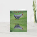 Search for chicken thank you cards Rustic