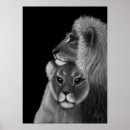 Recherche de lion noir posters Pour eux