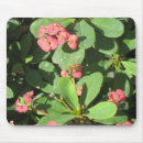 Search for buzzing mousepads Bee