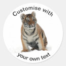 Search for baby tiger stickers Snow