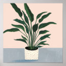 Search for houseplant posters Botanical