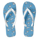 Search for seagull shoes Wildlife