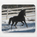 Search for horse running electronics Black