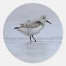 Search for sea birds stickers Cute