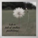 Recherche de pissenlit et blanc posters Graines