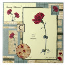 Recherche de oeillets carreaux Botanique