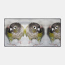 Recherche de perroquet vert tapis souris Mignon