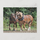 Search for team work postcards Draught