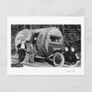 Search for fir tree postcards Photograph