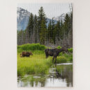 Recherche de veaux puzzles Nature