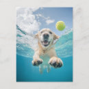 Search for happy tennis ball postcards Dog