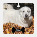 Recherche de mastiff ornaments Hiver