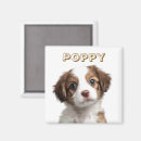 Recherche de amoureux magnets Photo chien