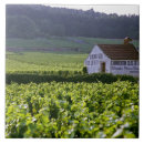 Recherche de vignoble carreaux Vigne