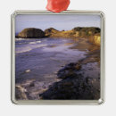 Search for seal ornaments Nature