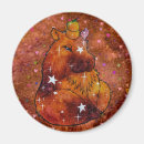 Search for capybara magnets Fun