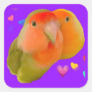 Search for lovebird stickers Cute