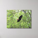 Search for flight canvas prints Bird