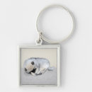 Search for dog sleeping keychains Puppy