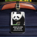 Recherche de province bagages étiquettes Ours