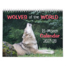 Recherche de loups calendriers Photographie