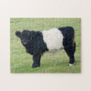 Recherche de veau puzzles Animaux de ferme