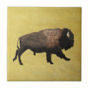 Recherche de bison carreaux Prairie