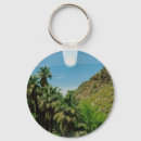 Search for palm springs keychains California