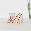 Search for wing note cards Photography